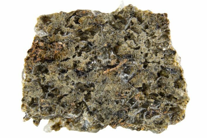 Martian Shergottite Meteorite ( g) Slice - NWA #335299